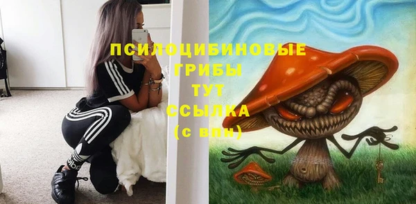 таблы Ельня