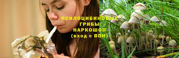 Альфа ПВП Нягань