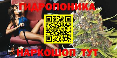 хмурый Аргун