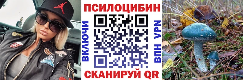 Галлюциногенные грибы MAGIC MUSHROOMS  Кизляр 