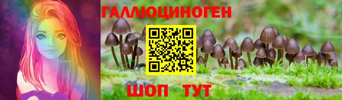 Кизляр  Псилоцибиновые грибы ЛСД  Вход с VPN 